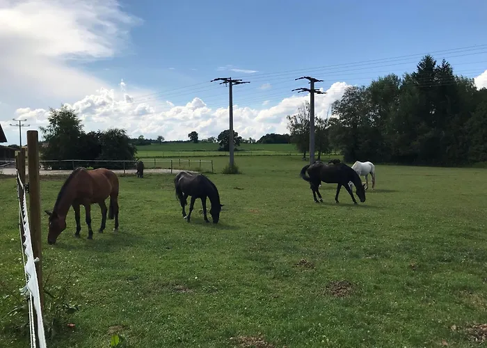Beim Hofbauer Apartmán Tittmoning